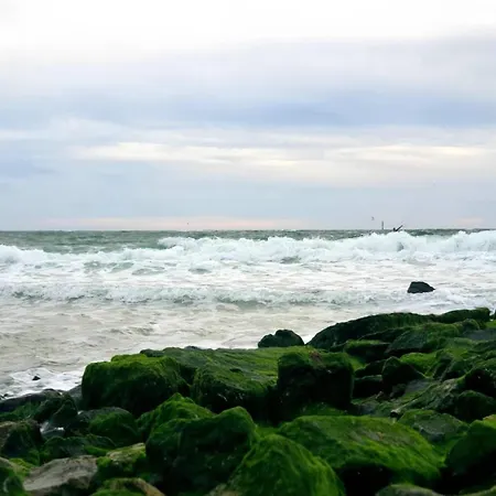 דירה In Auf Sylt *